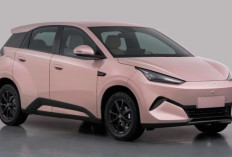 BYD Siapkan Great Seagull, Hatchback Listrik Baru Posisi di Atas Seagull