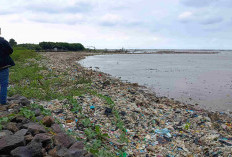 Pesisir Kesenden Kembali jadi Lautan Sampah