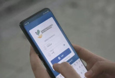 Cara Cek Desil Kemensos Lewat HP Menggunakan NIK KTP, Ini Link Resminya