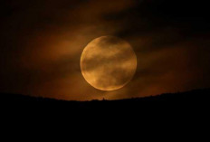 7 Fakta Menarik tentang Fenomena Bulan Purnama yang Jarang Diketahui