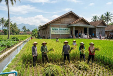 Kota Wakaf dan Masa Depan Dana Sosial Produktif