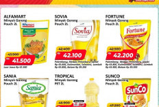 Promo Alfamart Gantung 28 Juli - 3 Agustus 2026: Minyak Goreng 2L Rp41.500 dan Diskon Susu Melimpah!