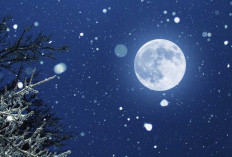 Waktu Terbaik Menikmati Keindahan Bulan Purnama Snow Moon 2 Februari 2026 di Seluruh Indonesia