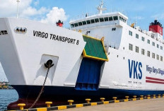 Profil dan Rekam Jejak KM Virgo Transport 8: Kapal Eks Jepang Buatan 1987 yang Tenggelam di Laut Jawa