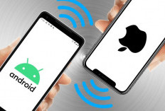 Fitur Quick Share di One UI 9 Resmi Dukung AirDrop, Kirim File ke iPhone Jadi Lebih Mudah