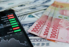 Cara Memantau Nilai Tukar Rupiah Secara Real-Time untuk Pemula