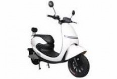 5 Motor Listrik Murah, Kualitas Terbaik! 