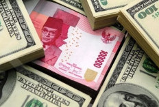 Cara Cek Kurs Dollar BCA Hari Ini secara Online lewat HP