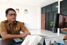 Masih Dihandle PAD, Gaji PPPK Paruh Waktu 19,8 Milyar