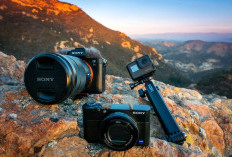 Panduan Memilih Kamera Traveling 2026: Pilih Mirrorless, Pocket, atau Action Cam?