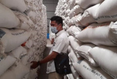 Pemerintah Siapkan 720 Ribu Ton untuk Bansos Beras 2026, 18 Juta KPM Jadi Sasaran Utama