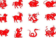 Ramalan Shio Besok Jumat 23 Januari 2026: Shio Kuda, Naga, dan Ular 