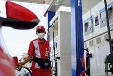 Daftar Mobil yang Bisa Pakai Solar Subsidi Terbaru 2026, Cek Aturannya!