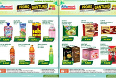 Makanan dan Minuman Diskon! Promo Gantung Alfamart Minggu Ini Periode 27 Februari - 5 Maret 2026