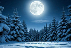 Bulan Purnama Snow Moon Akan Menghiasi Langit Malam Februari 2026,  Fenomena Astronomi yang Unik