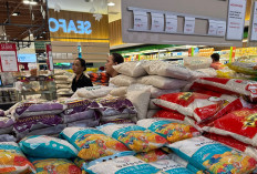 Bulog Pasarkan Beras Premium ke Ritel Modern dengan HET Rp14.900 per Kg