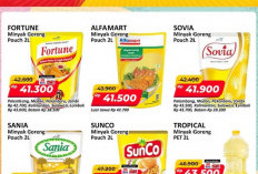 Promo Alfamart JSM 18–20 September 2026: Minyak Goreng 2L Mulai Rp41.300 & Diskon Spesial Akhir Pekan!
