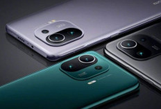 Rekomendasi HP Xiaomi Terbaru di Berbagai Kelas: Dari Kaum Mendang-Mending Hingga Sultan!