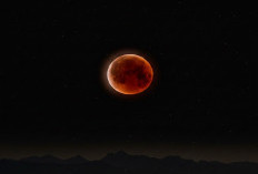 Gerhana Bulan Total 3 Maret 2026: Jadwal Lengkap dan Daftar Wilayah di Indonesia yang Bisa Mengamati