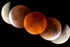 Kapan Gerhana Bulan Total Terjadi Lagi? Simak Kalender Astronomi Terbaru Tahun Ini