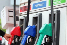 Update Harga BBM Pertamina Terbaru Mei 2026: Pertalite, Pertamax, Dexlite hingga Dex