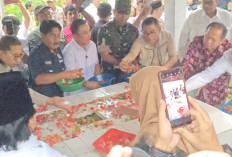 Menelusuri Jejak Pengasingan Pahlawan, Fadli Zon Ziarah Ke Makam Radja Jacob Ponto 