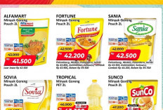Promo JSM Alfamart Periode 24-26 Juli 2026: Minyak Goreng 2L Mulai Rp41.500!