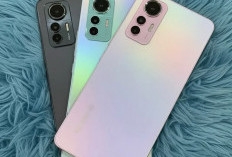 Pilihan HP Android Murah Terbaik untuk Pelajar Mulai Harga Sejutaan