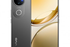 Rekomendasi HP Vivo Terbaru 2025: Intip Spesifikasi dan Keunggulannya Disini! 