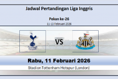 Jadwal Pertandingan Tottenham vs Newcastle United, Head to Head Didominasi Newcastle