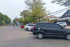 Dishub Survey Potensi Parkir, Semua Titik Disasar