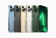 Daftar Harga iPhone 13 Pro Max Terbaru 2026 di iBox dan Digimap