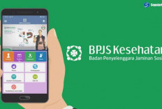 Cara Cek Status Peserta Aktif BPJS Kesehatan dan Ketenagakerjaan