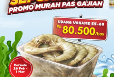 Katalog Promo Ambil Dan Isi Sepuasnya, Murah Pas Gajian Super Indo Periode 27 Februari - 08 Maret 2026.