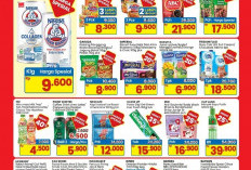 Promo Indomaret Minggu Ini: Bear Brand Cuma Rp9.600 dan Diskon Gede Susu Frisian Flag!