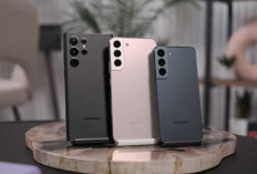 7 HP yang Cocok Dipakai Jangka Panjang dengan Update Android Hingga 7 Tahun!