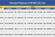 Simulasi Pinjaman KUR BRI 2026 100 Juta, Cicilan Rp 2.1 Juta hingga Rp 8.8 Juta per Bulan