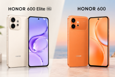 Honor 600 Elite 5G vs Honor 600 Standard: Apa Saja Perbedaan Spesifikasi dan Fiturnya?