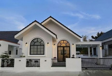 Inspirasi Desain Rumah Minimalis Modern untuk Lahan Sempit Tampak Luas