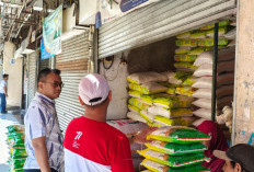BULOG Gelontorkan Beras SPHP dan Percepat Penyaluran Bantuan Pangan untuk Menjaga Stabilitas Harga Beras