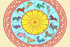 Ramalan Shio Besok Jumat, 6 Maret 2026, Tikus dan Kelinci Terbukanya Peluang Baru