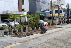 Usai Disidak Walikota Cirebon, Pelaku Usaha Mulai Perbaikan Trotoar Jalan Wahidin