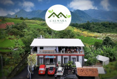 Calmara Cafe Kuningan Hadirkan Menu Baru, Penginapan, dan Fasilitas WFA