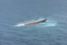 Kronologi Kecelakaan KM Virgo Transport 8: Dihantam Ombak Laut Jawa Hingga Hilang Kontak