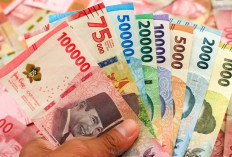 Cara Cek Bantuan Langsung Tunai Lewat HP, Cepat dan Mudah!