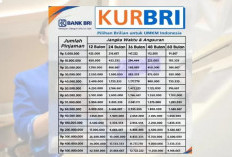 Tabel Angsuran KUR BRI 2026 Terbaru Pinjaman 300 Juta: Cicilan Ringan Tenor Hingga 5 Tahun 