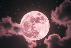 Fenomena Langit 1-2 April 2026: Ini Waktu Terbaik Menyaksikan Fenomena Pink Moon