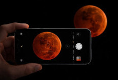 Cara Melihat Gerhana Bulan Total dan Tips Memotretnya Pakai HP, Jangan Sampai Terlewat!