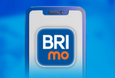 Butuh Modal Usaha? Ini Dia Cara Pengajuan KUR BRI Agar Tidak Ditolak