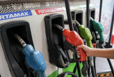 Perbandingan Harga Pertamax vs Pertalite Hari Ini: Mana yang Jadi Pilihan Banyak Orang?